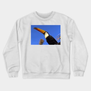 hornbill Crewneck Sweatshirt